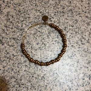 Alex and Ani Rafaelian Gold Finish bangle